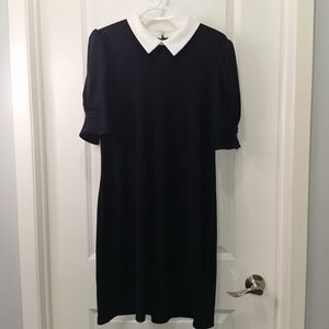 Classic Navy Midi Dress with White Collar